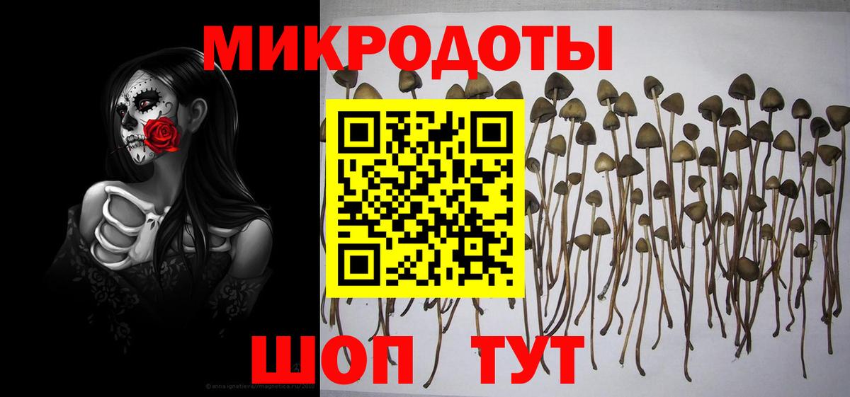 Вятские Поляны  Псилоцибиновые грибы мицелий  Вход с VPN  Галлюциногенные грибы Cubensis 