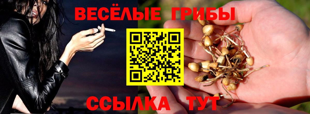 Псилоцибиновые грибы Cubensis Вятские Поляны